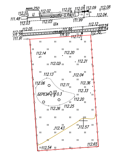 Топографический план Масштаб 1:500, Московская обл, район Раменский, деревня Петровское